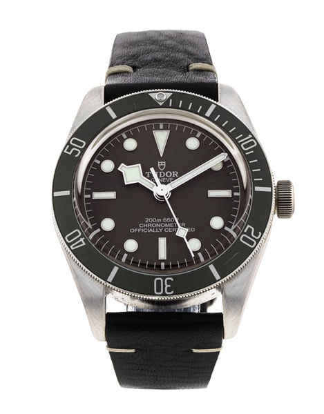 Tudor Black Bay 58 M79010SG-0002